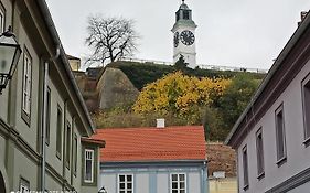 Zlatica Petrovaradin